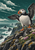 Atlantic puffin with orange beak and feet spreading its wings on a flower-speckled cliff above foaming sea.