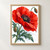 Large scarlet poppy with a dark center and water droplets, accompanied by two closed buds and blue-green leaves on a warm-white background.; frame shown for styling only