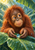 Young orangutan cupping a bright blue droplet above a wet tropical leaf in the rain.