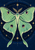 Pale mint-green moth with purple-and-gold eyespots and long tails centered among gold stars on a deep blue field.