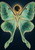 A front-facing jade-green moth with long trailing wing tails beneath a dark moon with a narrow golden rim.