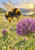A fuzzy black-and-gold bumblebee with pollen on its hind leg hovers beside a large purple clover-like flower in a sunny meadow.