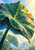 Large curled green elephant-ear-like leaf with radiating veins and a hanging water droplet against soft foliage.