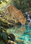 A spotted adult cheetah crouches at a turquoise forest pool, lowering its muzzle toward the water as its body and long tail reflect below.