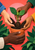 Four adult hands of varied skin tones gather soil around a leafy seedling and terracotta pot against a coral background.