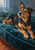 Black-and-tan terrier lying diagonally on a deep teal cushion with its head raised in cool window light.