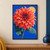 Large coral-red dahlia with layered wet petals, blue-green leaves, and an apricot disk against a cobalt background.; frame shown for styling only
