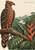 A carved-looking dark bird with a hooked beak perched on a diagonal branch above glossy tropical leaves and a red-orange flower, with a river landscape behind it.