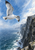 A white seabird with dark wing tips banks above a steep slate cliff and foaming ocean.