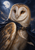 A tawny barn owl with amber eyes wears a dark blue-black cape and medallion against a moonlit cloudy sky.