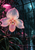 Large pale pink orchid with visible petal veins and water droplets in a dark, rain-streaked greenhouse beneath a hanging fuchsia lamp.