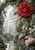 Water-beaded red camellia-like flower in the upper right, framed by glossy leaves and smaller blossoms in a misty greenhouse garden.