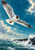 A white gull with a dark head marking banks above rough blue-green water, a foamy wave, and a dark breakwater.