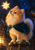 Fluffy orange-and-cream dog in a teal mantle looks up at a glowing folded paper star inside a dark domed observatory-like interior.