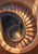 Overhead view of a stone spiral staircase around a central opening, with a curved handrail and sunlit potted citrus tree.