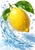 Large diagonal yellow lemon with two green leaves surrounded by a curling blue-white water splash and suspended droplets on white.