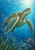 Green sea turtle swimming upward through blue water toward surface light, with bubbles, seagrass, and a small reef area below.