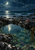 Small coral-red crab on a rocky edge beside a moon-reflecting tidepool and dark ocean surf.