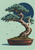 Juniper bonsai in an oval terracotta-and-dark pot, with twisting trunk, blue-green foliage and exposed deadwood against a dark blue circle.