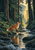 Russet red fox standing on a rocky bank beside a reflective stream beneath tall forest trees and a distant amber-lit opening.