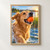 Golden retriever holding an orange ball in its mouth at a sunny lakeshore, with water splashing around its coat.; frame shown for styling only