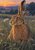 Tawny hare seated alert in meadow grass at sunset, one ear upright and the other angled outward as a pale seed head bends toward its muzzle.