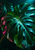 Glossy split monstera leaf with turquoise and magenta highlights against a dark teal background.