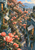A massive coral-pink flowering magnolia winds through blue-green buildings and planted terraces toward a distant waterfront.