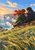 Two adults seen from behind share a picnic on a grassy coastal bluff, with a red scarf, plaid blanket, sea and sunset.