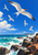 Five white seabirds flying above turquoise surf, white foam, and dark angular coastal rocks.