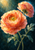 Two layered peach and apricot blooms on crossing green stems against a deep teal background, with blue-green leaves below.