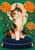 A calico cat raises one paw from a round dark-blue cushion among orange marigolds and green foliage.