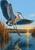Blue-gray heron with wings spread descending toward ripples in a sunset marsh, framed by reeds.