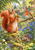 Red squirrel holding a leaf to its mouth beside a perched robin and a hedgehog among bluebells in a leafy garden.