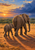 A larger elephant and a young elephant walking together across an ochre plain at sunset beneath blue-violet storm clouds.