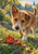 Scruffy tan-and-cream terrier with one upright and one folded ear stepping through grass beside a red fallen leaf.