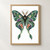 A centered moth with jewel-toned patterned wings, long curved tails, feathery antennae, and a pale gray halo on white.; frame shown for styling only