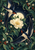 Two swallows flying around a pale flower beneath a full moon, surrounded by curling leaves and berries.