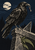A black raven holds a small key in its beak while standing on cracked stonework with a triangular gnomon, fern and moonlit trees.