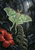 Pale green moth with open wings above a curled fern and red hibiscus in a moonlit glasshouse.