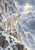 An adult mountain goat and a smaller kid stand on a snowy rocky ledge before snowy peaks as windblown snow crosses the scene.