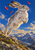A mountain hare leaping above a rocky alpine ledge, with red-orange petals near its head, small yellow flowers, and distant blue peaks.