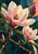 Layered collage of pale pink magnolia-like blossoms and a magenta bud among branching stems and leaves against dark blue-green.