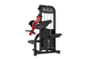 Biceps & Triceps Machine