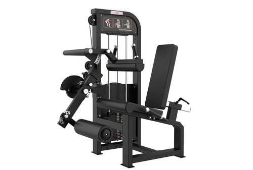 Leg Curl & Extension