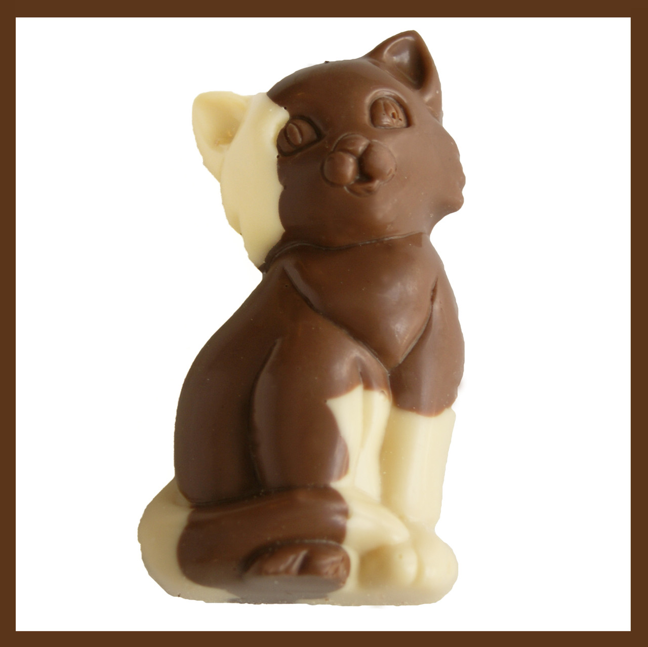 Koji Set/2 Chocolate Cat Dog And Monster Mold : Target