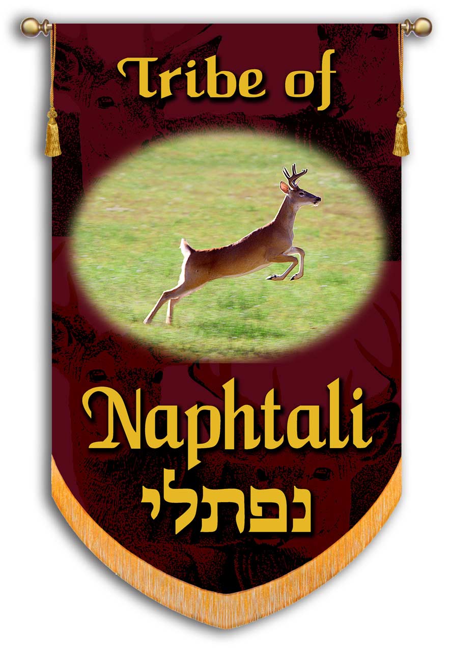 Tribes of Israel - Tribe of Naphtali printed Banner - fully lined
