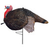 Primos Gobbstopper Jake Turkey Decoy 69066
