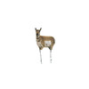 Montana Decoy Antelope Combo Buck and Doe 0083