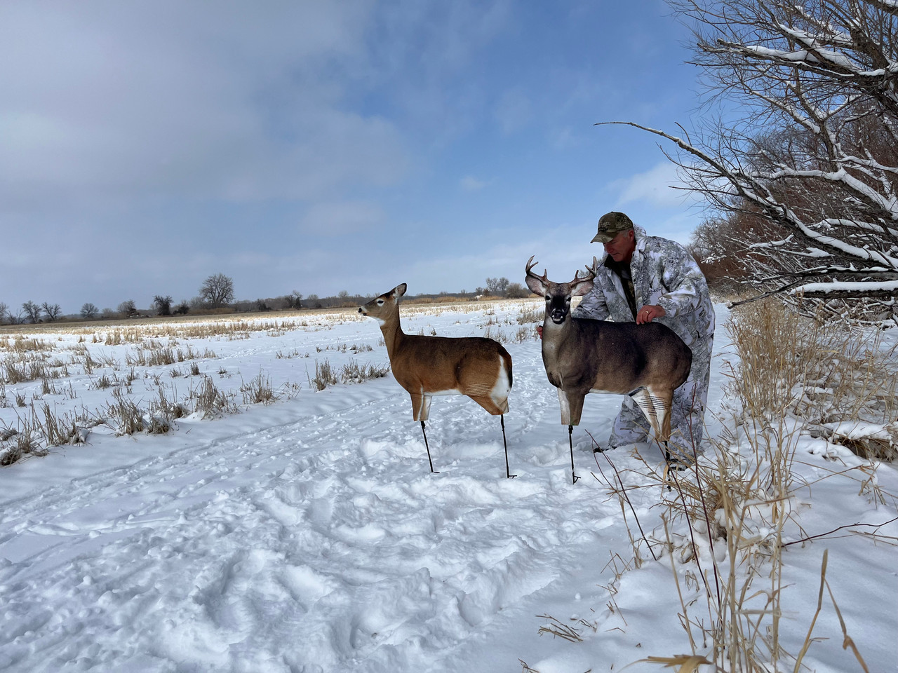 Montana Decoy Decoy - Thumbnail 3